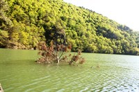 Boraboy Gölü