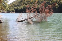 Boraboy Gölü